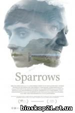 Sparrows (2016)